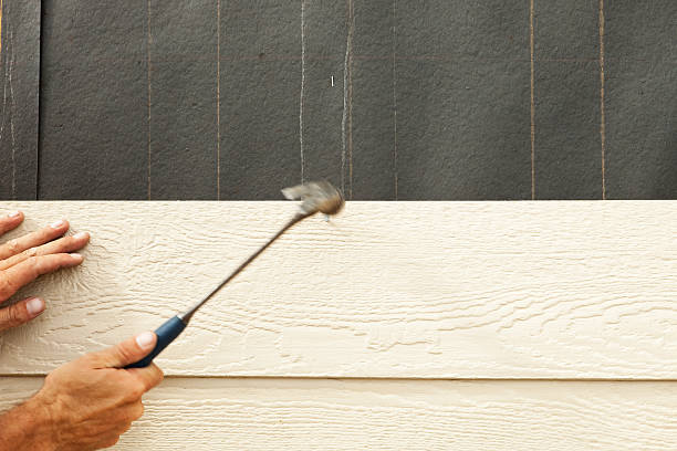 Professional Siding in Hays, MT